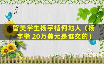 留美学生杨宇楷何地人（杨宇楷 20万美元是谁交的）